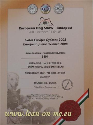 European Certificate (Large) (Small)